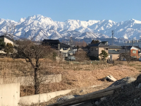 朝霞市立朝霞第一中学校の同窓会