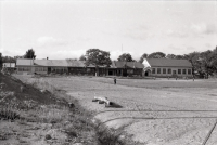 沼田町立恵比島小学校