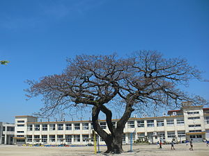 姶良市立建昌小学校