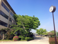 交野市立第三中学校