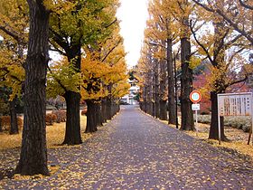 東京都立園芸高等学校